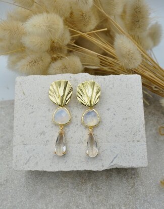 Coquillages Opales