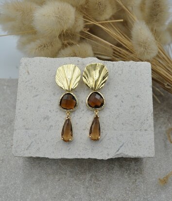 Coquillages Bruns