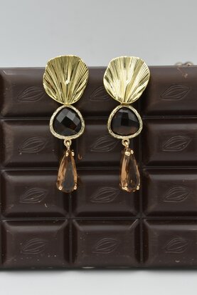 Coquillages Bruns