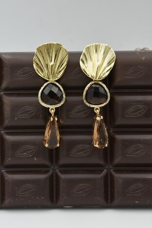 Coquillages Bruns