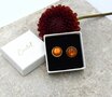 Studs Cognac